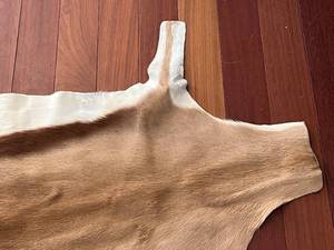 Real Animal Hide Rug - African Game Park