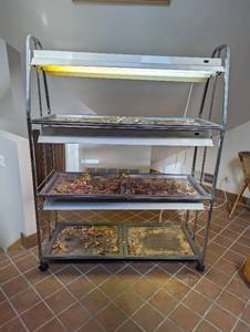 lot 12 image: Flora light Three Tier Growing System