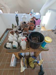 lot 15 image: Collection Of Gardening Supplies