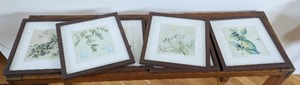 lot 32 image: Six Framed Botanical Prints