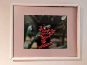 lot 159 image: Mirror And Art