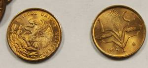 1960 Mexico 1 Centavo Oat Sprigs 30 Coins