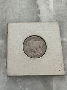 1937 Buffalo Nickel