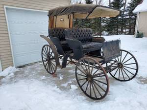 Surrey Buggy