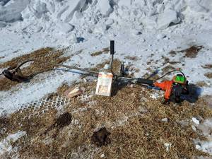 Stihl Lawn Trimmer