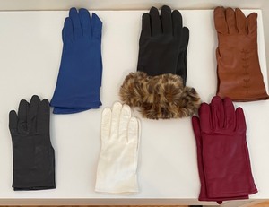 lot 256 image: Gorgeous Gloves