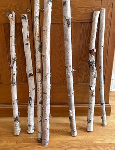lot 264 image: Decorative Birch Logs