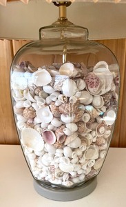 lot 374 image: Seashell Filled Glass Table Lamp