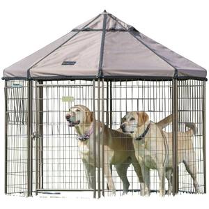 lot 7 image: Looks New Advantek 5 x 5 Pet Gazebo