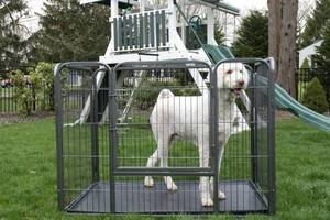 lot 155 image: New  Iconic Pet - Heavy Duty Rectangle Tube pen Dog Cat Pet Training Kennel Crate - 36 Height