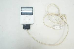 lot 339 image: Apple iPod