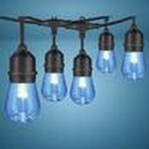 Patriot Lighting� 24 12-Light LED Color Changing String Light