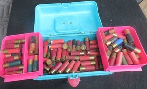 12 GAUGE SHOTGUN SHELLS