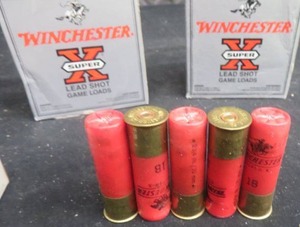 16 GAUGE SHOTGUN SHELLS