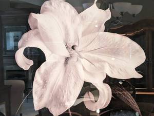 lot 109 image: Large Framed Decorative Lily Print