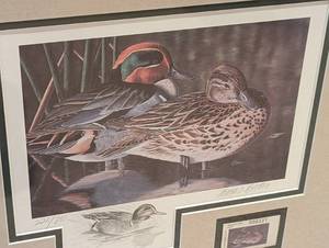 lot 122 image: Small Framed Duck Stamp Print By Thomas Bates