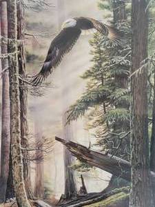 lot 21B image: Peaceful Eagle Fine Art Print by Rick Kelley