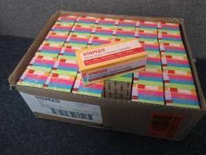 lot 57 image: Case of 36- 12pks 1200ct Staples St...
