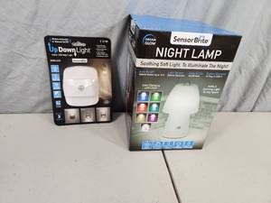 lot 139 image: New Lights