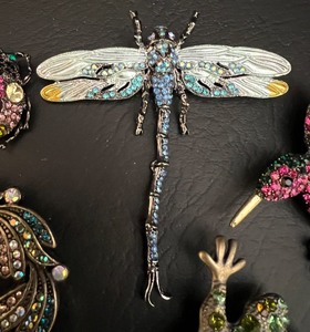 lot 352 image: A Charmed Life  Rhinestone Pins  Brooches