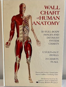 lot 187 image: Oversized Human Anatomy Book & Wall Chart