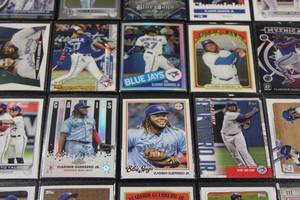Vladimir Guerrero Baseball Card Lot  20 Different Cards