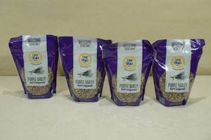 4 1,000 Springs Mill Organic Purple Barley