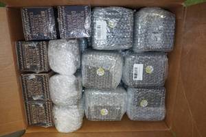 42 Novelty Glasses - All RepublicanRight WingConservative Theme