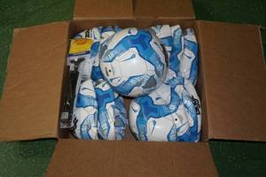 Biggz Size 5 Soccer Balls with Pump