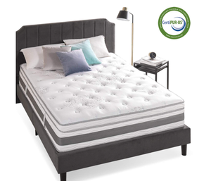 lot 42 image: Zinus 14 Inch Gel-Infused Memory Foam Hybrid Mattress, Queen