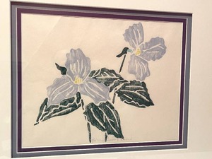 lot 57 image: Sandra Shephard Trillium Framed Art Print