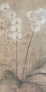 lot 231 image: Fabulous Framed Floral Print