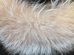 lot 275 image: Adjustable Fur Headband