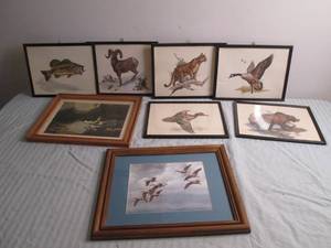 Framed wildlife prints...