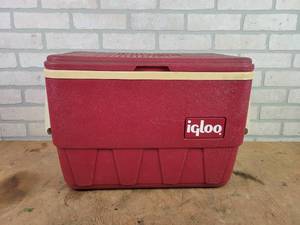 lot 604 image: igloo Chest Cooler - Approx. 18 x 13 x 10 - NO SHIPPING