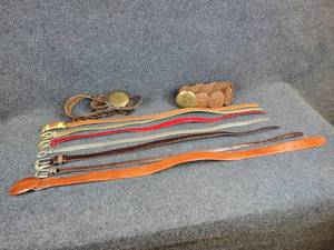 lot 376 image: Lot of (9) Ladies Belts - Some Snake Skin, Eel Skin, Leather, and More - Sizes M & L