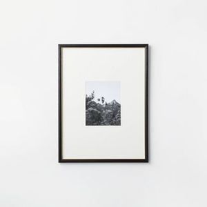 lot 45 image: Brand New Gallery Wall Frame BlackBrass - Threshold designed with Studio McGee ((MSRP $50))