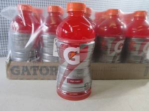 lot 172 image: (EC2) 15 Bottles Fruit Punch Gatora...
