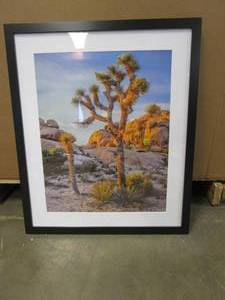 21 in x 25 in Landscape Picture with Black Frame