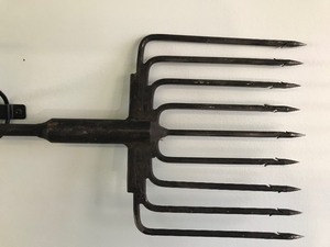 lot 314 image: Vintage 9 tine fishing spear