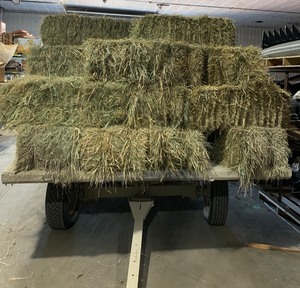 lot 49C image: 2022 Grass Hay Small Square Bales