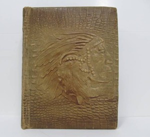 lot 12 image: Very Cool Antique Indian Head Postcard Album Full of Cards