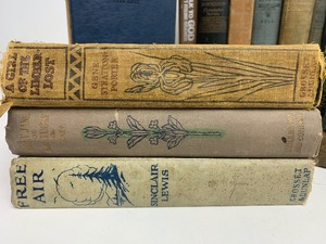 lot 329 image: Nice Estate Lot of vintage & Antique Books