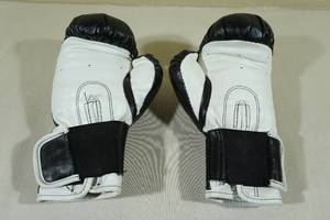 lot 193 image: Everlast Boxing Gloves