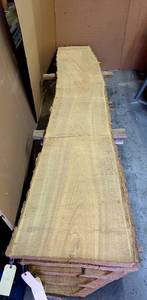 Elm Slab 122.5 Length  84 Thick  28-18-17 Ends and Middle Widths