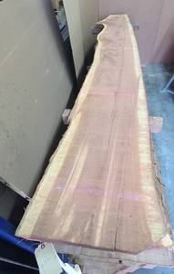 Red Cedar Slab 117 Length  84 Thick  16-15-11 Ends and Middle Width