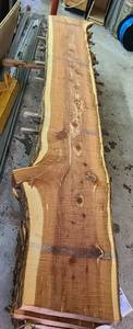Red Cedar Slab 111 Length  124 Thick  13-14-15 Ends and Middle Width