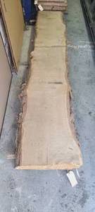White Oak Slab 120 Length  124 Thick  17-18.5-19 Ends and Middle Width