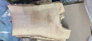 Black Walnut Slab 36.5 Length  84 Thick  10-22-6 Ends and Middle Width