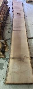 Black Walnut Slab 179 Length  124 Thick  21-18-18.5 Ends and Middle Width